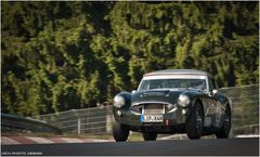 43. AvD OGP 2015 / Austin Healy 3000 Mk II