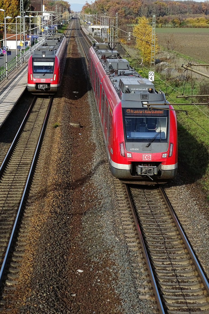 430 669 als S7 nach Riedstadt (links) und 430 606 als S7