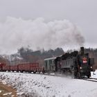 431.032 CD am 13.01.19 zwischen Stara Paka und Lomnice nad Popelkou II