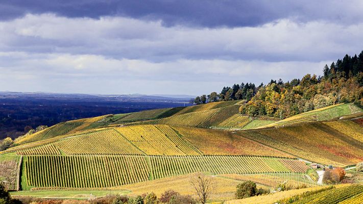 43/52 Herbstwetter mit Überraschungen
