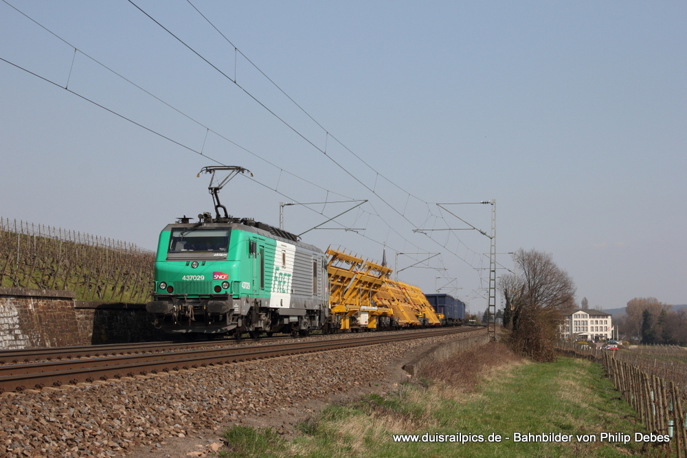 437029 (SNCF Fret) mit einem Güterzug in Erbach (Rheingau)