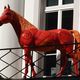 pferd auf Balkon