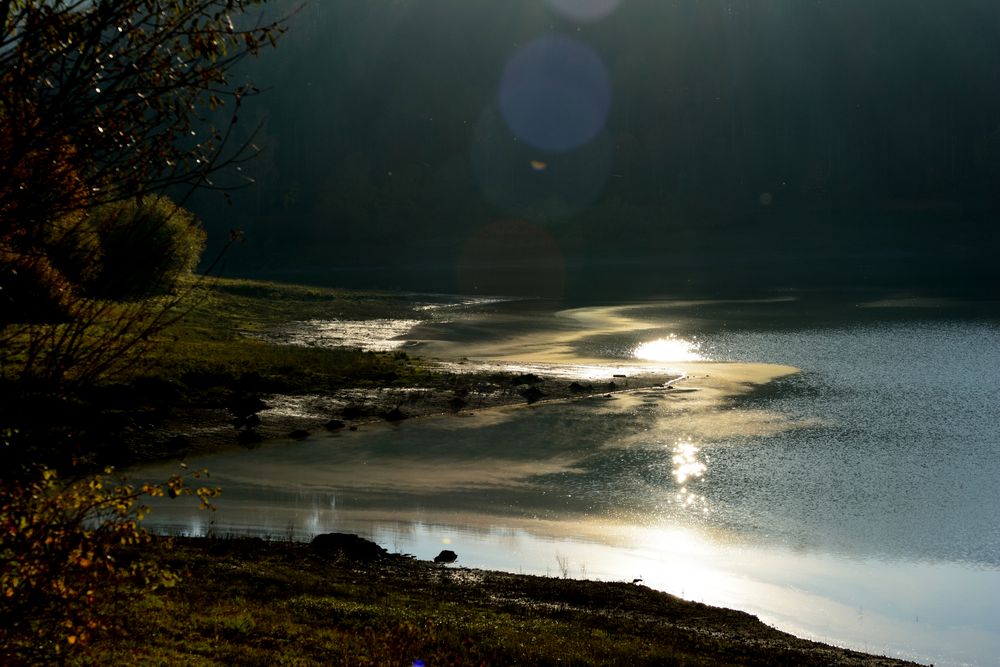 Seeufer im Gegenlicht. von Franz Metzger