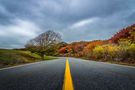 Road to Indian Summer by Michael Matzke 