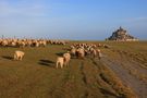 Le Mont-Saint-Michel (U) #4 von Jochen Ulbricht