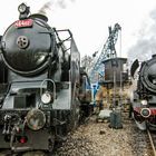 44 1486-8 und 464.102 zum 5. Dresdner Damflokfest am 06.04.13