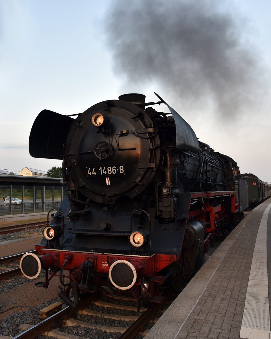 44 1486 in Aschersleben