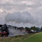 44 1593-1 am 08.09.19 bei Terrug naar Toen in Beekbergen