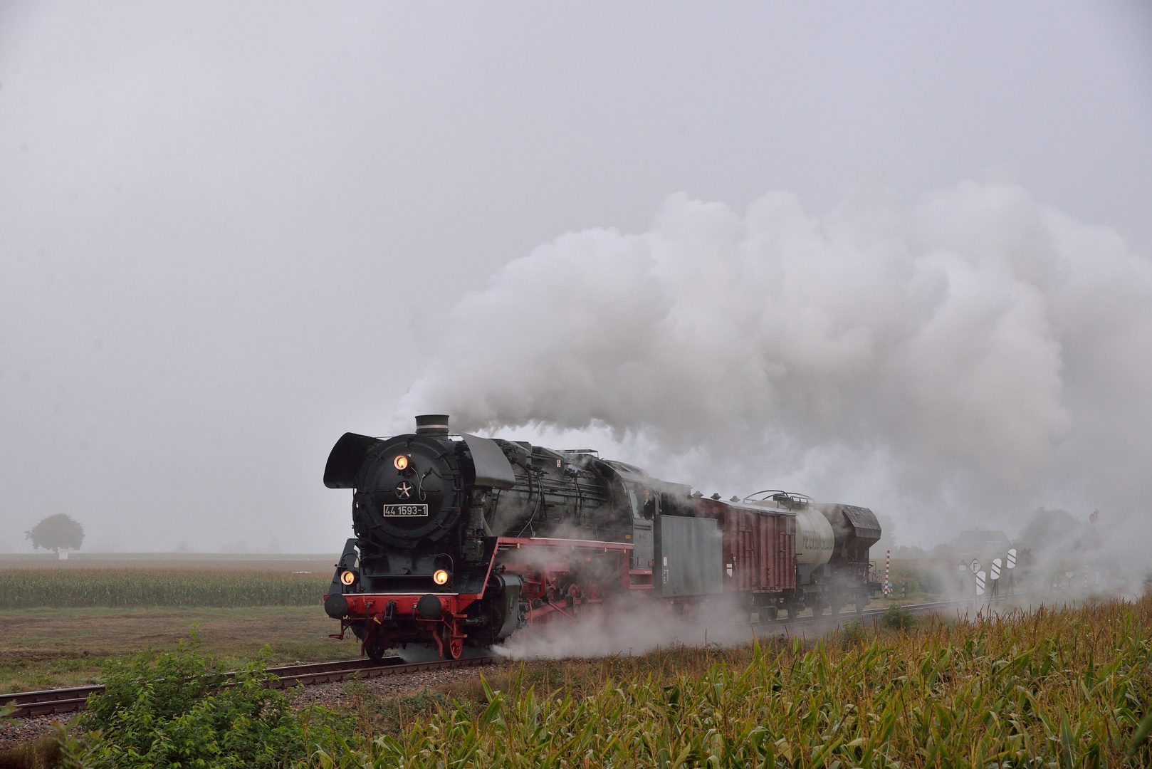 44 1593-1 mit Güterzug bei Beekbergen am 07.09.19