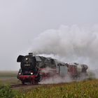 44 1593-1 mit Güterzug bei Beekbergen am 07.09.19