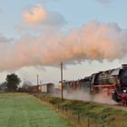 44 1593 mit langem Güterzug am 02.09.18 Ausfahrt Beekbergen