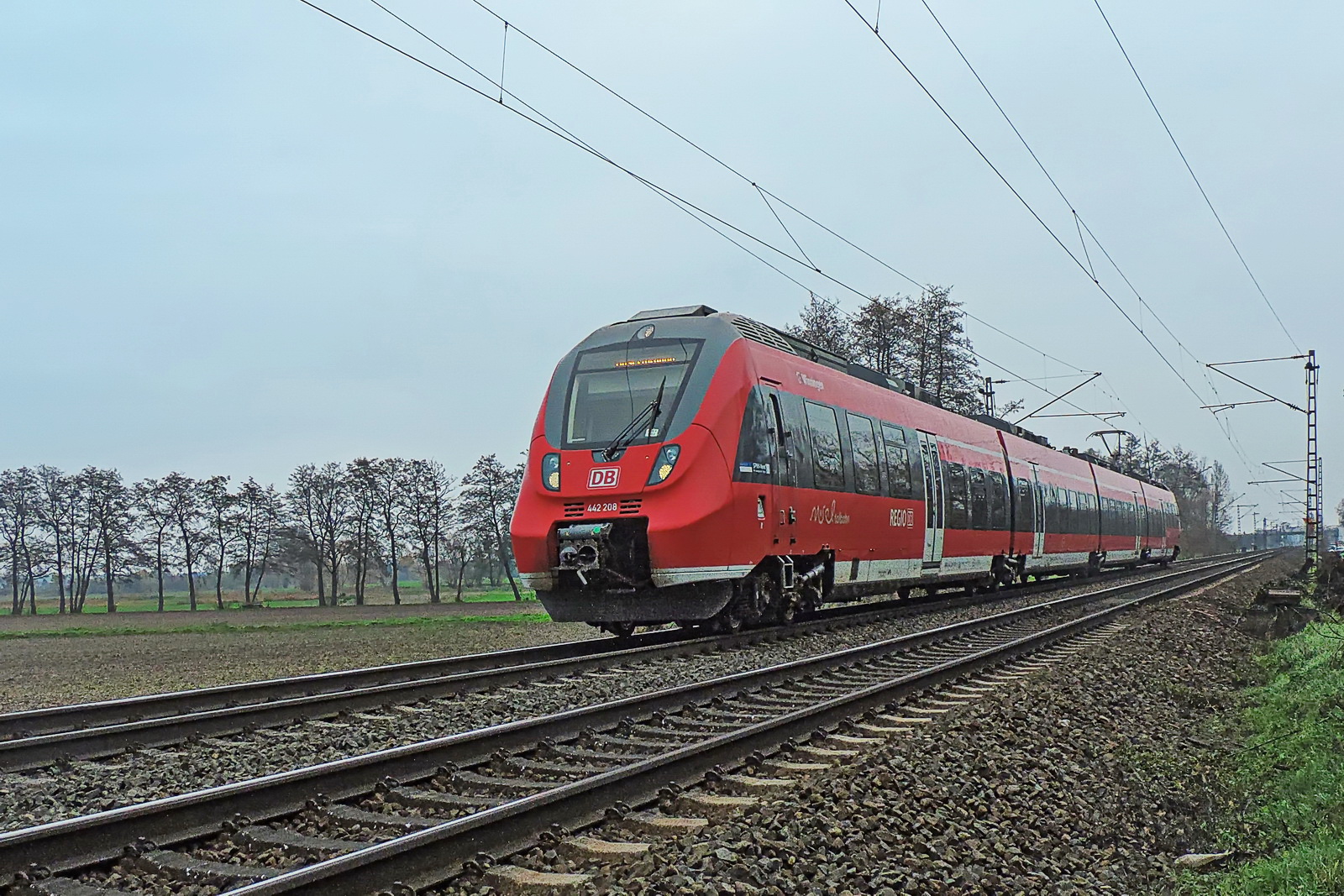 442 208 der Moseltalbahn