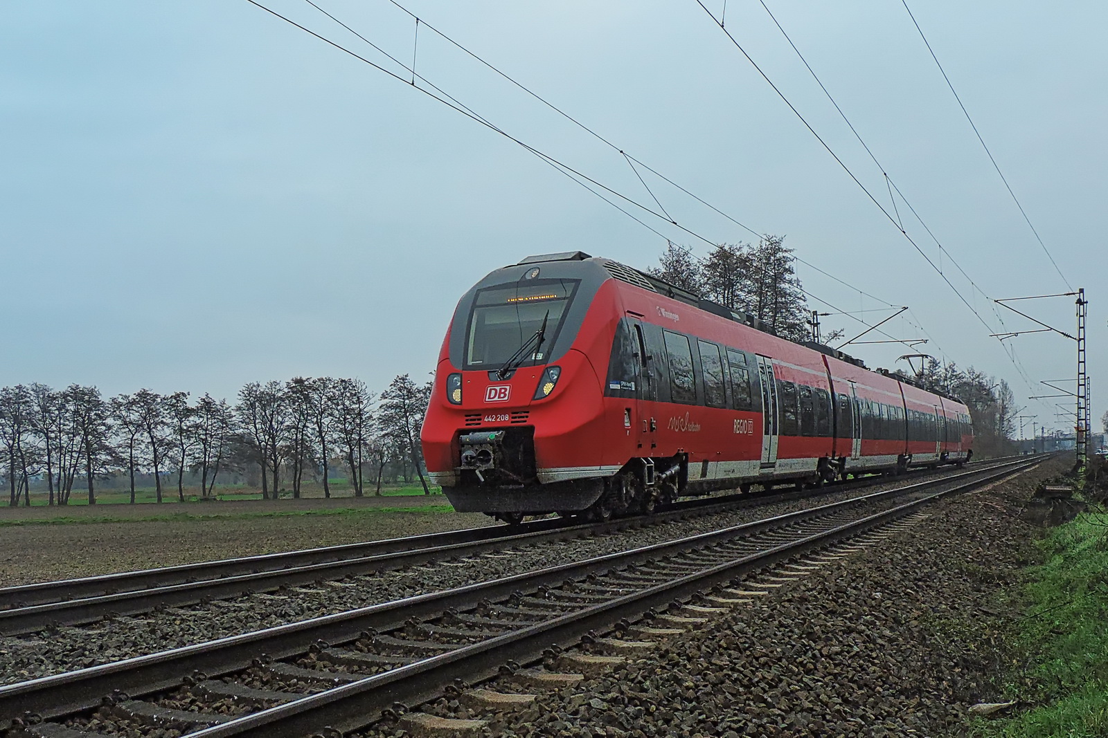 442 208 der Moseltalbahn zwischen Groß Gerau und Nauheim