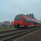 442 208 der Moseltalbahn zwischen Groß Gerau und Nauheim