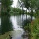 Brenzsee im Sommer