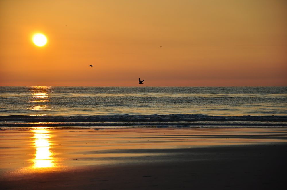 Sommer auf Sylt von Shadowblue