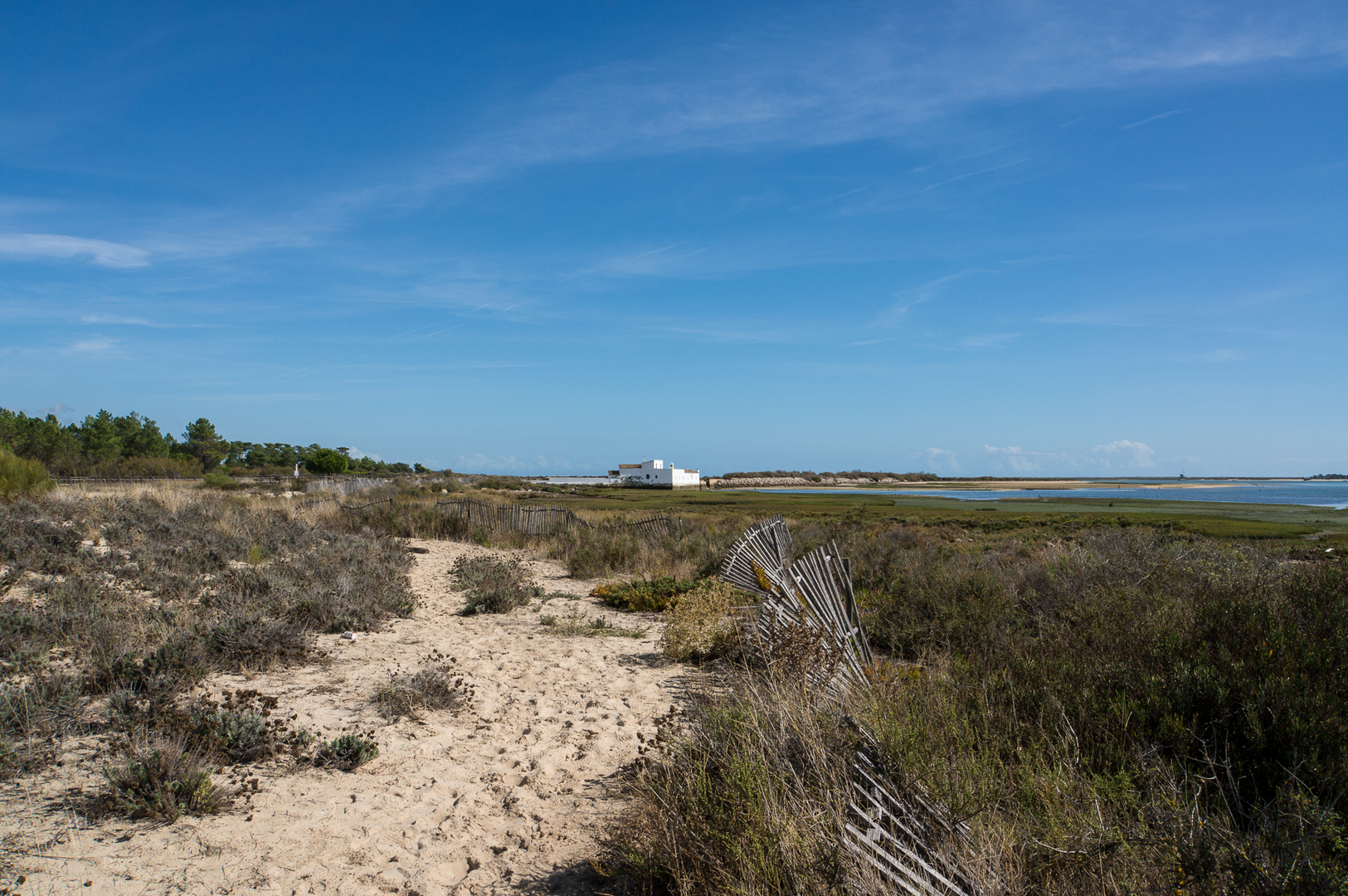 44Portugal2013 Parque Natural da Ria Formosa