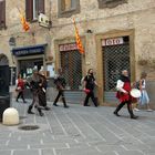 44_volterra13