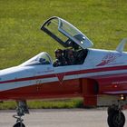 45 Years Patrouille Suisse