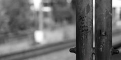 4/52 – don’t be so fucking selfish 