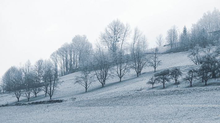 4/52 Natur im Winterschlaf.
