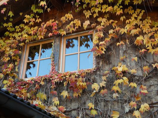 45_52 Die Reihen lichten sich