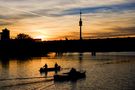 Begegnung an der Alten Donau von silent-nature