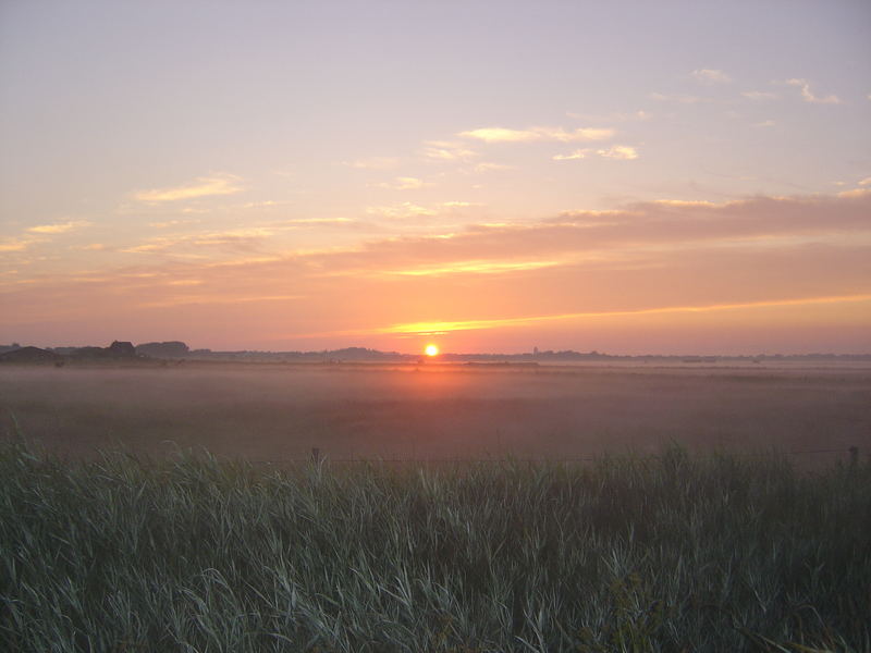 ....... 4.59 Uhr in den Tinnumer (Sylt) Wiesen,