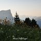 Mont Aiguille depuis Vallon de Combeau