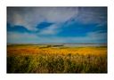 Herbstsonntag in Norddeich von Joerg Wellbrock