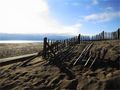 Fense on the beach von Hansi F.