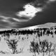 Winter-Licht  im Rondane-Gebirge