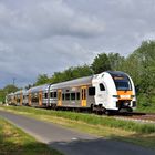 462 039 --RRX-- am 25.05.20 in Nordbögge