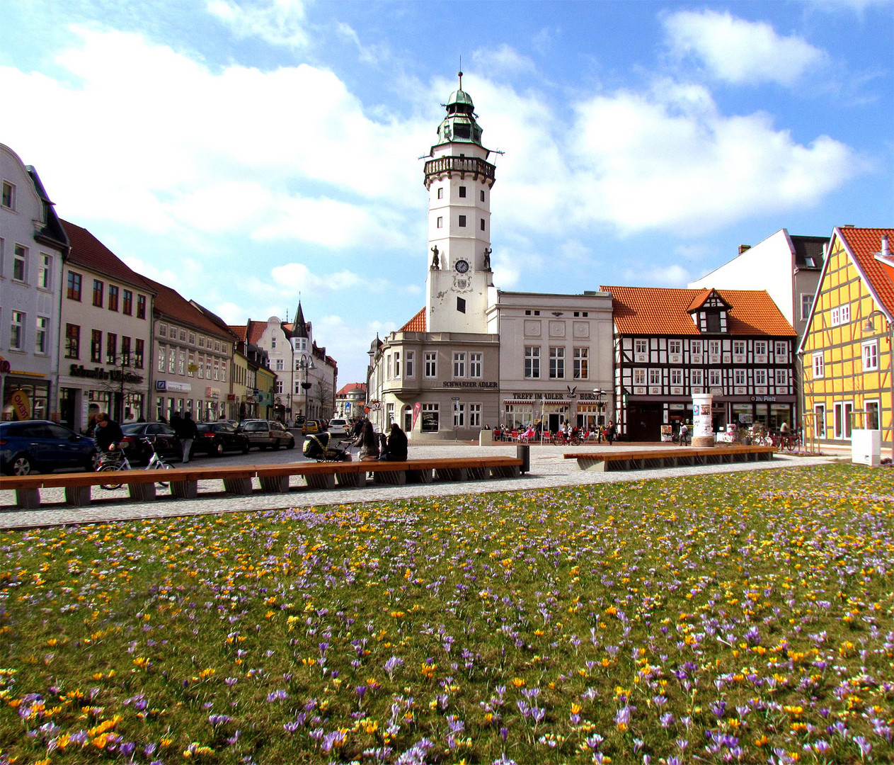 46.270 Krokusse zieren den Rathausturmplatz der alten Hansestadt Salzwedel
