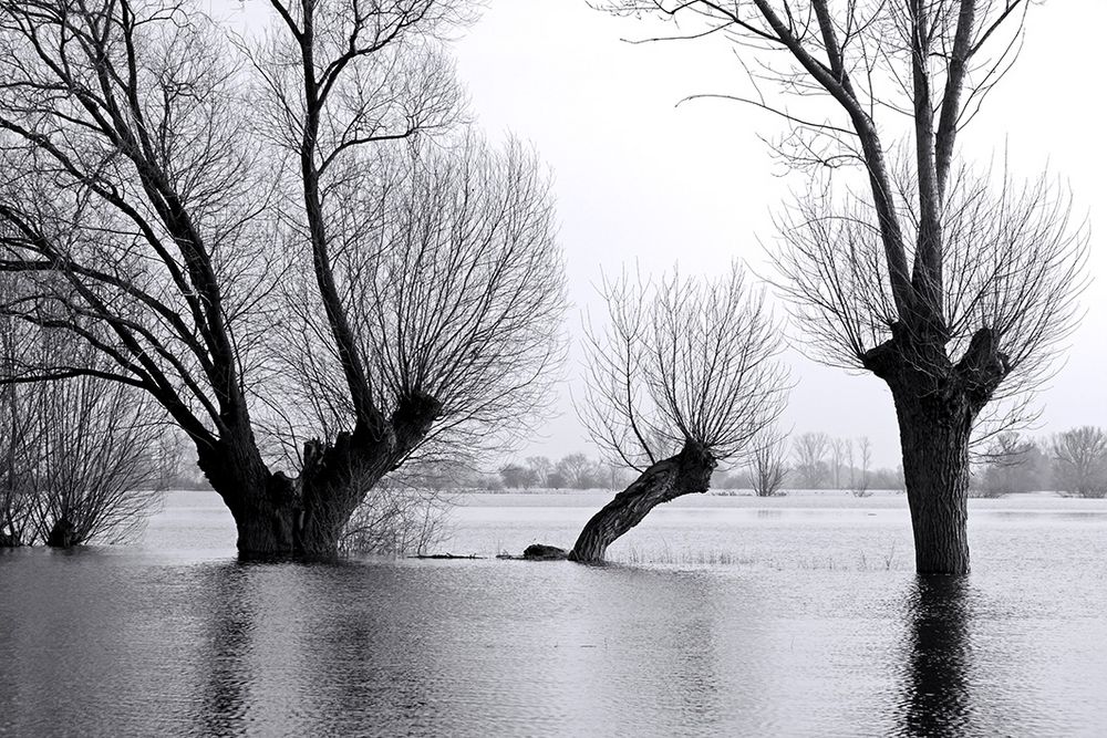 Winterhochwasser von irgendwosonst 