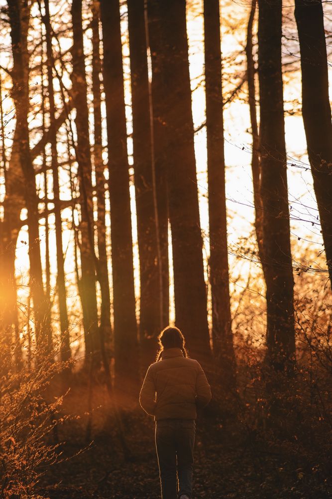 Spaziergang in den Sonnenuntergang von n2i8c0o1