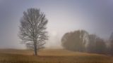 Morgenstimmung im Heckengäu von Helios-44