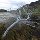 Patagonien, im Nationalpark Torres del Paine