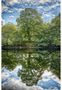 Tree reflexion in the river Tay von Manuel Gloger