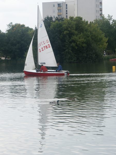 470er auf einem der kleinsten Segelreviere Deutschlands