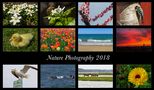 Annual Photographic Review