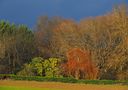 Ciel menaçant sous le soleil de Jifasch32