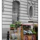 Flower shop, Sloan Square