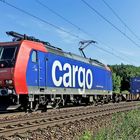 482 000-7 SBB Cargo mit einem gem. Güterzug