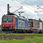 482 007-2 SBB-Cargo