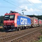482 008-0 SBB Cargo mit einem Containerzug