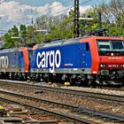 482 015-5 und ? - SBB-Cargo vor einem Containerzug