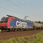 482 018-9 SBB Cargo mit einem Kesselzug