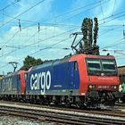 482 019-7 SBB Cargo und 482 ? ChemOil