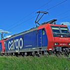 482 020-5 SBB Cargo x 2